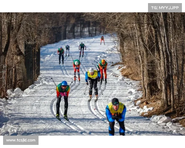 长春国际赛事、长春最近有什么比赛